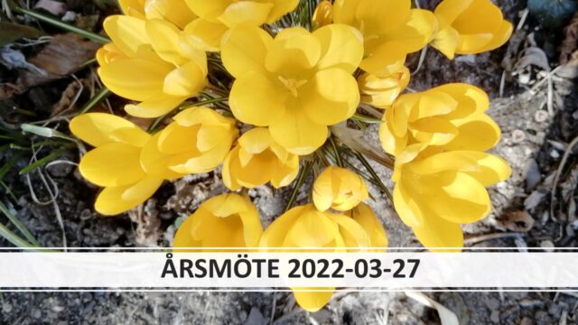 Årsmöte