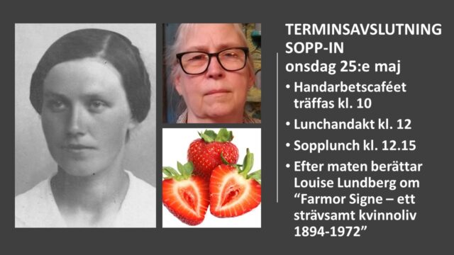 Sopp-in 25/5 – Terminsavslutning