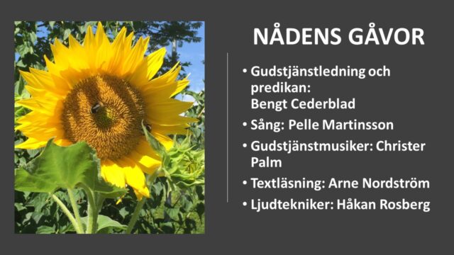 Sommarkväll i Stadionkyrkan